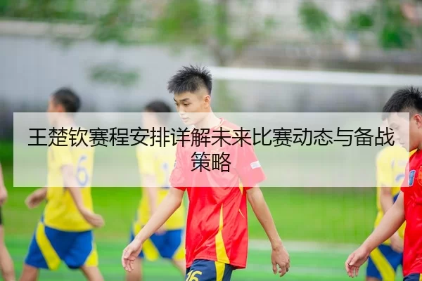王楚钦赛程安排详解未来比赛动态与备战策略
